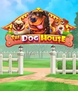 From Pragmatic Play comes The Dog House, featuring a fun-filled experience into the world of charming canines. Enjoy gameplay elements including free spins, aimed at delivering joyful moments. Ideal for those who enjoy a lighthearted setting alongside lucrative rewards.