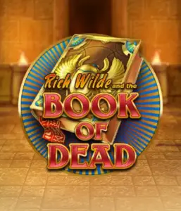 Dive into the thrilling world of Book of Dead Slot by Play'n GO, presenting vivid graphics of Rich Wilde's journey through ancient Egyptian tombs and artifacts. Uncover lost riches with captivating mechanics like free spins, expanding icons, and a gamble option. Ideal for adventure seekers with a desire for unearthing secrets.